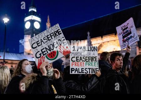 London, UK. 15th Nov, 2023. Protesters are seen holding placards while demonstrating outside the UK Parliament at Westminster. Pro-Palestine supporters gather outside Parliament Square this evening as the Members of Parliament are voting on the amendment of ceasefire from the King's speech proposed by Scottish National Party (SNP). They demand an immediate ceasefire and to stop the areal bombardment and innocent killings of Palestinians trapped in Gaza by Israeli forces. Credit: SOPA Images Limited/Alamy Live News Stock Photo