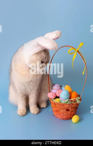 Cute white cat in hat with bunny ears looking at Easter basket with colorful eggs Stock Photo