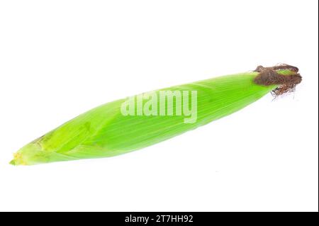 Corn cob isolated on a white background Stock Photo