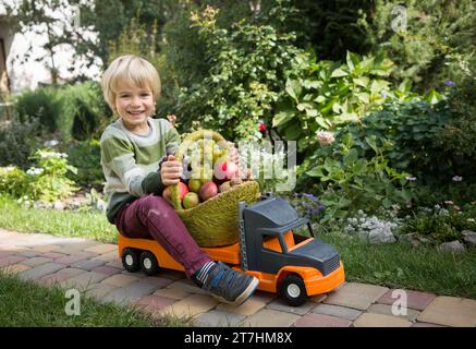 cheerful boy sits on large toy car - truck and carries fresh ripe apples, pears, grapes from garden Stock Photo