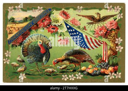 Original and typical old fashioned, beautiful embossed postcard of American thanksgiving day turkey, stars & stripes, eagle, with a gold border. Dated to circa 1911, U.S.A. Stock Photo
