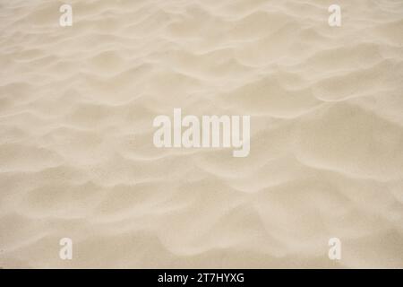 Fine golden sand. Background from natural materials. Stock Photo