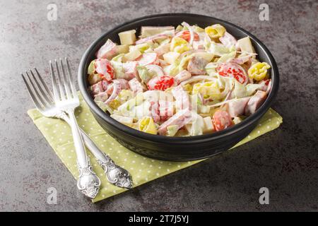 Italian Grinder Salad combines all the ingredients of an famous sub sandwich closeup on the plate on the table. Horizontal Stock Photo