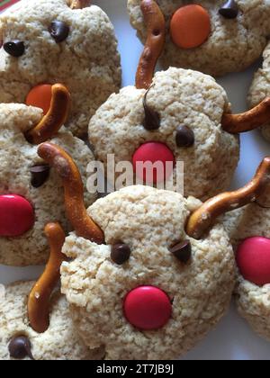 Festive holiday seasonal cookie and baking equipment and supplies to make  delicious gourmet Christmas season treats and gifts for friends and family  Stock Photo - Alamy