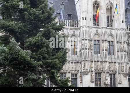 Brussels, Belgium. 16th Nov, 2023. Illustration picture shows the Christmas tree on the Brussels Grand-Place - Grote Markt square in the Brussels historic city center, Thursday 16 November 2023. This year, the 22-metre high tree was taken from a garden in Lier. BELGA PHOTO NICOLAS MAETERLINCK Credit: Belga News Agency/Alamy Live News Stock Photo