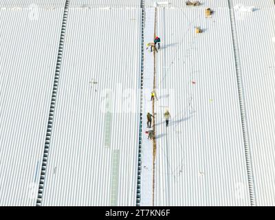 HEFEI, CHINA - NOVEMBER 16, 2023 - Workers build a steel structure plant at the construction site of GCL PV's second phase plant project in Hefei, Anh Stock Photo