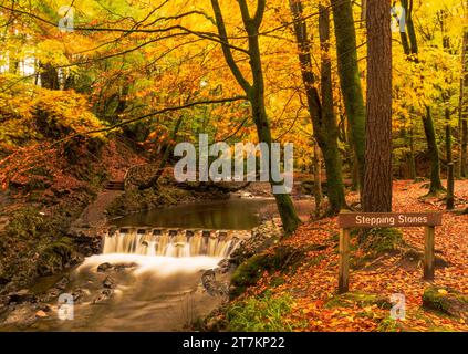 Autumn colours at the Stepping Stones in Tollymore Forest Park Stock Photo