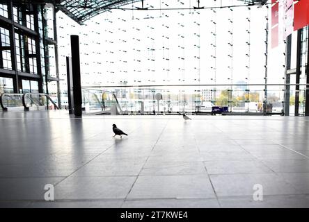 Berlin, Germany. 16th Nov, 2023. Pigeons are seen at Berlin Central Train Station in Berlin, Germany, Nov. 16, 2023. Germany is bracing for a short-notice nationwide rail strike that is scheduled to start on Wednesday evening local time and last 20 hours. Credit: Ren Pengfei/Xinhua/Alamy Live News Stock Photo