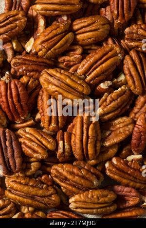 Raw Organic Dry Pecan Nuts in a Bowl Stock Photo