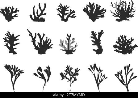 Coral silhouette, Sea corals silhouette, Seaweed silhouette, Coral clipart, coral vector illustration. Stock Vector