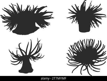 Sea anemone silhouette,  Sea anemone vector illustration, Sea anemone clipart. Stock Vector