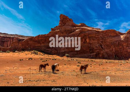 A view of horses grazing in Monument Valley tribal park in springtime Stock Photo