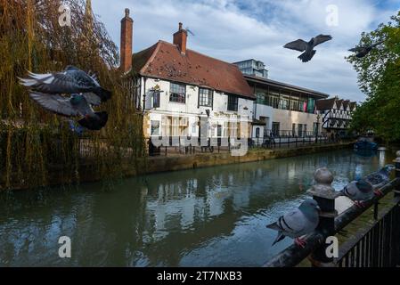 The Witch and Wardrobe pub beside the River Witham in Lincoln Stock Photo