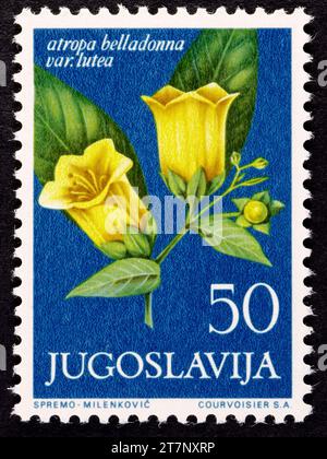 Atropa belladonna var. lutea 'Deadly Nightshade' Postage Stamp, Yugoslavia, 1965. Stock Photo