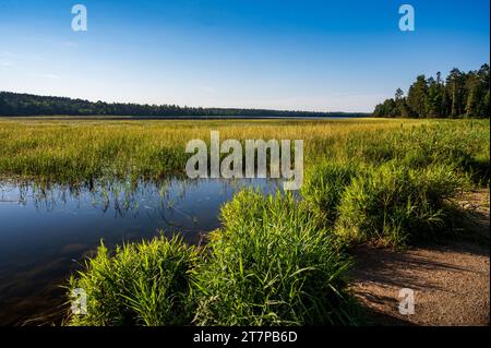 View of Lake Itasca from Mississippi River Headwaters at Itasca State Park in Minnesota Stock Photo