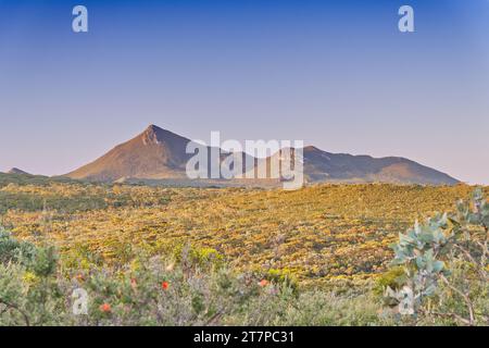 Distant panorama view of West Mount Barren range, Fitzgerald River National Park, Western Australia, Australia Stock Photo