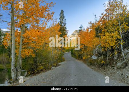 Fall Colors Along the Middle Fork Bishop Creek in the Eastern Sierra Nevada Mountains near Bishop California Stock Photo