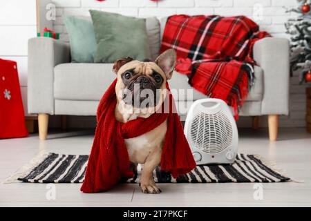 Cute French bulldog with scarf and electric fan heater at home on Christmas eve Stock Photo