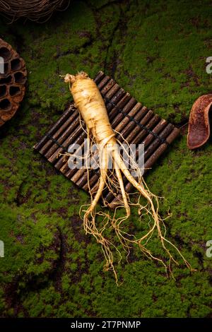 Fresh ginseng root, the amazing health benefits of ginseng you need to know, ginseng plant Stock Photo