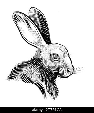 Cute bunny head. Hand-drawn ink black and white drawing Stock Photo