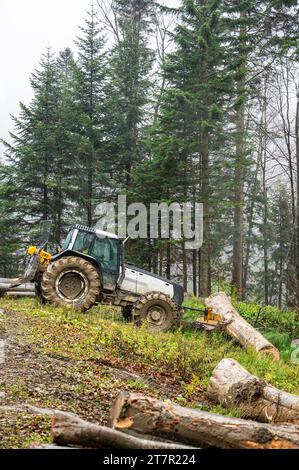 A specialized forest tractor working with logging in the rain in the Carpathians, Poland. Stock Photo