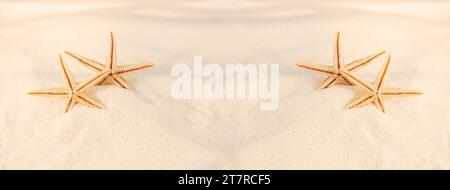 Orange starfish with sand waves on beach. Vacations, relaxation, travel to dark countries. Banner. With space for text or product. Copy space Stock Photo