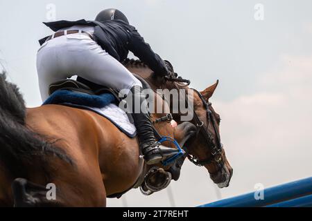 Horse Jumping, Show Jumping themed photograph. Stock Photo