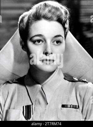 PATRICIA NEAL Portrait in THE HASTY HEART 1949 director VINCENT SHERMAN play John Patrick screenplay Ranald MacDougall Associated British Picture Corporation (ABPC) / Warner Bros. Stock Photo