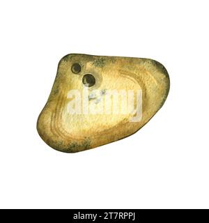 Apotropaic stone Chicken God. Amulet. Triangular stone, yellow, brown, painted in watercolor on a white background. Suitable for printing on packaging Stock Photo