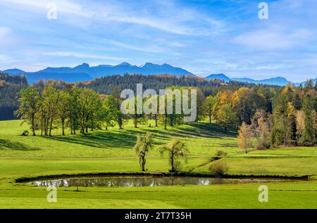 Autumn landscape in the blue country near Obersöchering, Bavaria, Germany, Europe Stock Photo