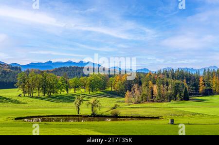 Autumn landscape in the blue country near Obersöchering, Bavaria, Germany, Europe Stock Photo