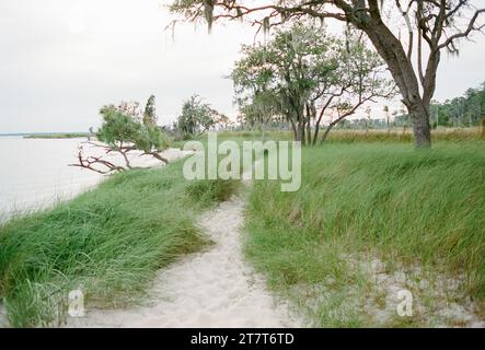 coastal trail among the marsh grass in Washington North Carolinas Stock Photo