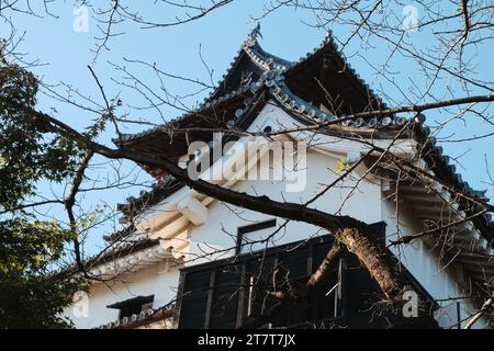 Historic Inuyama Castle north of Nagoya, Japan on a clear day Stock Photo