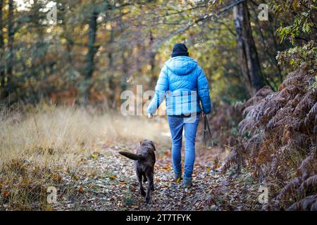 Hambledon Road, Godalming. 17th November 2023. A beautiful sunny morning across the Home Counties today. Autumn colours in the village of Hambledon near Godalming in Surrey. Credit: james jagger/Alamy Live News Stock Photo