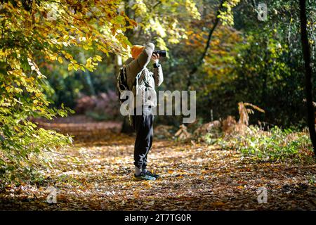 Hambledon Road, Godalming. 17th November 2023. A beautiful sunny morning across the Home Counties today. Autumn colours in the village of Hambledon near Godalming in Surrey. Credit: james jagger/Alamy Live News Stock Photo