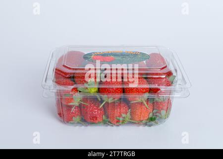 Red ripe strawberries with green stems and water drops in plastic tray container isolated on white background with copy space for text. Front view Stock Photo