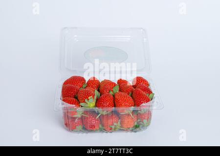 Red ripe strawberries with green stems in plastic tray container with the lid open isolated on white background with copy space for text. Front view Stock Photo