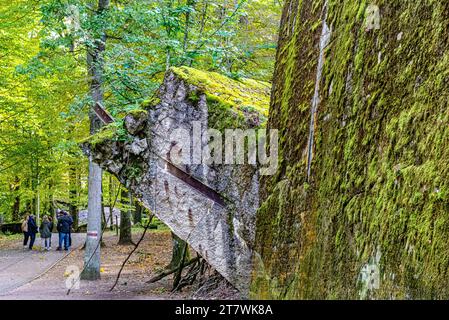 Wolf's Lair/Wolfsschanze a town of bunkers surrounded by forest, lakes and swamps. This is Adolf Hitler's largest and most recognizable field command. Stock Photo