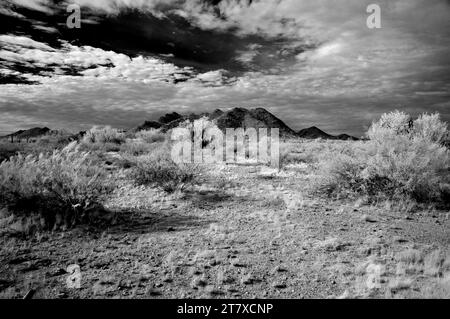 Infrared black and white image Sonora desert in central Arizona USA Stock Photo