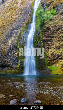 Horsetail Falls Plunging Into Pool, Cascade Locks, Columbia River Gorge National Scenic, Area, Oregon, USA Stock Photo