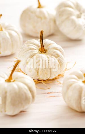 White pumpkins on wooden table, Thanksgiving and autumn decoration Stock Photo