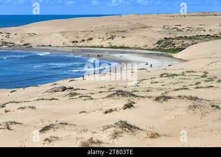 Sand dunes and sandy beach near the village Barra de Valizas, seaside resort / balneario along Atlantic Ocean coast, Rocha, Uruguay, South America Stock Photo