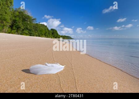 White bird feather on tranquil sandy beach of Knäbäckshusen / Knaebaeckshusen along the Baltic Sea, Österlen in Ravlunda, Skane / Scania, Sweden Stock Photo