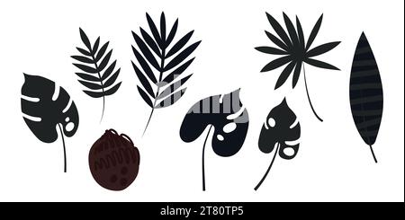 Set of palm leaves: banana and coconut. Large dark carved leaves. Plants. Vector illustration Stock Vector