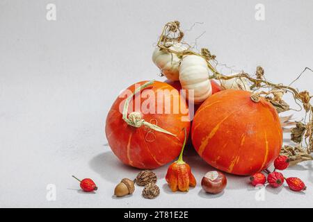Autumn composition on light stone background. Decorative pumpkins, acorns, berries and nuts. Fall leaves, flat lay, place for text Stock Photo