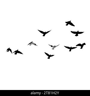 Flock of crows. Flying black birds in sky monochrome flutter raven silhouette, migrating flight group of wild rooks ornithology concept. Vector illust Stock Photo