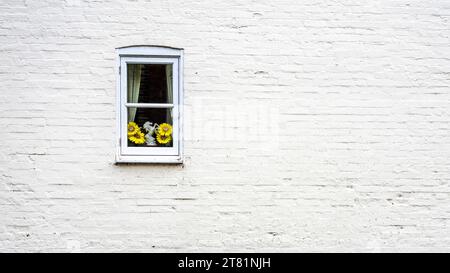 Sunflowers and ornament in a small window Stock Photo