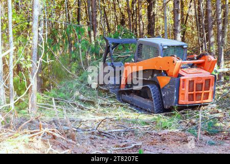 Tracked general purpose forestry mulcher was used by contractor to clean forest Stock Photo