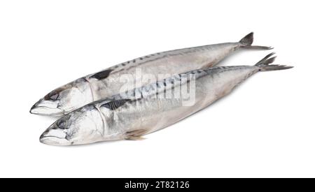 Two tasty salted mackerels on white background Stock Photo