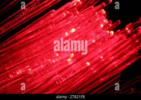 Optical fiber strands transmitting red light in darkness, macro view Stock Photo